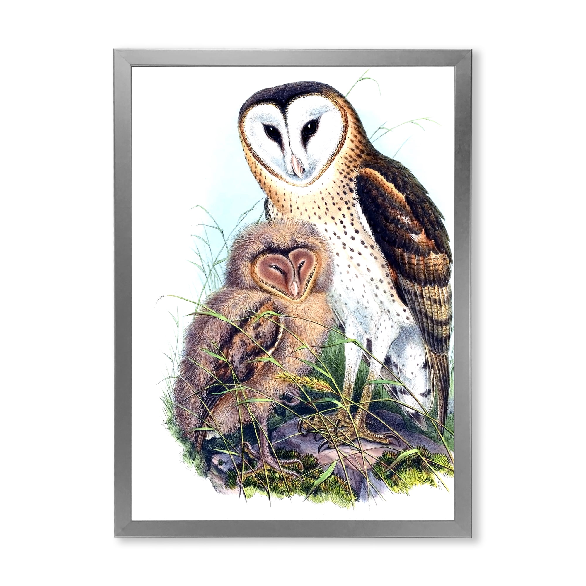Designart 'Ancient Birds I' Traditional Framed Art Print