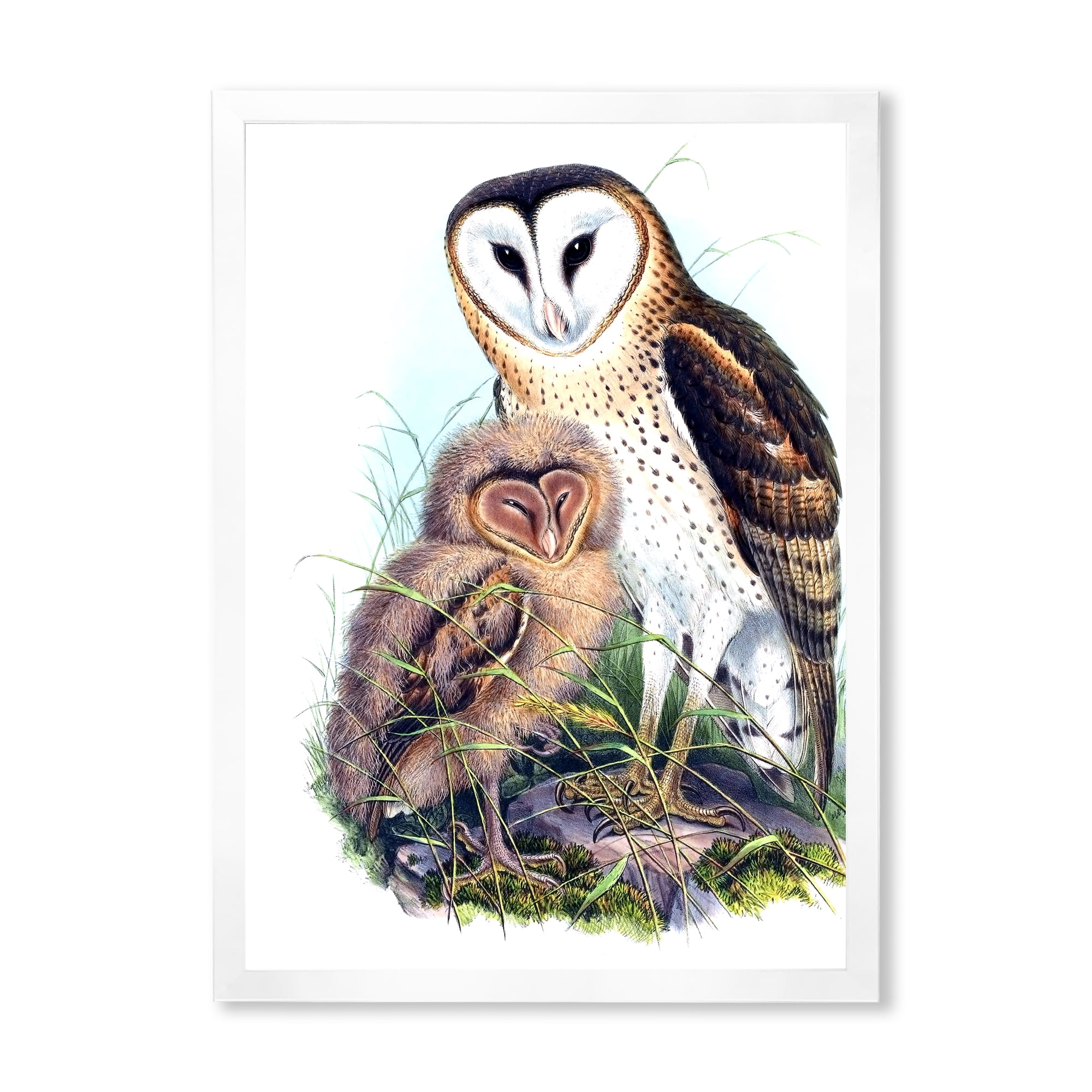 Designart 'Ancient Birds I' Traditional Framed Art Print