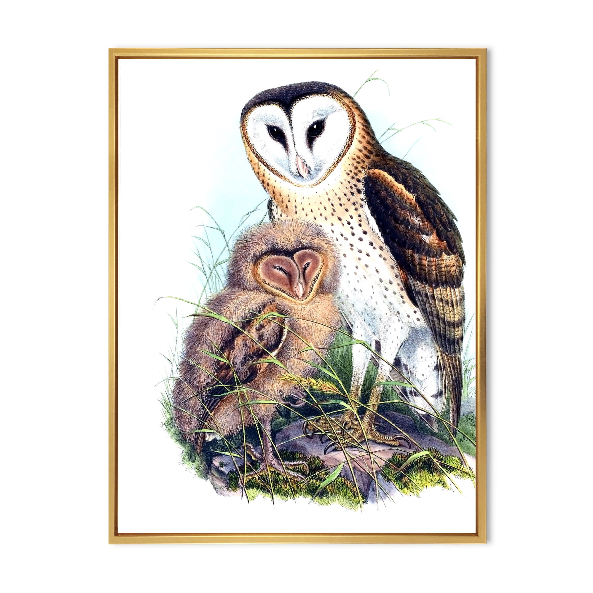 Designart 'Ancient Birds I' Traditional Framed Canvas Wall Art Print