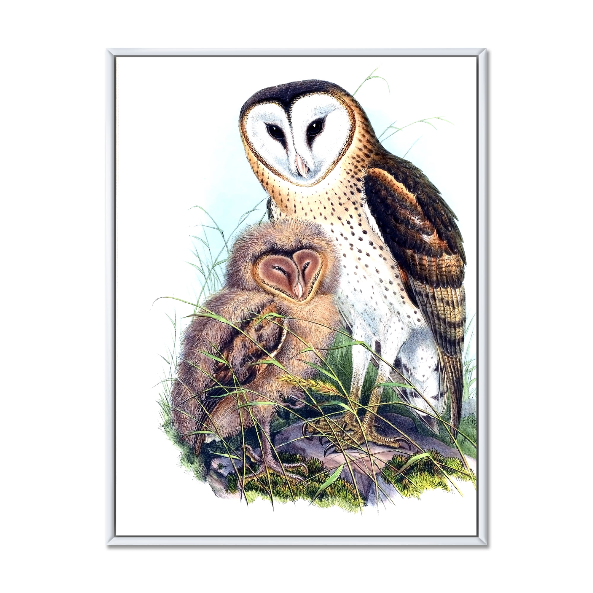 Designart 'Ancient Birds I' Traditional Framed Canvas Wall Art Print