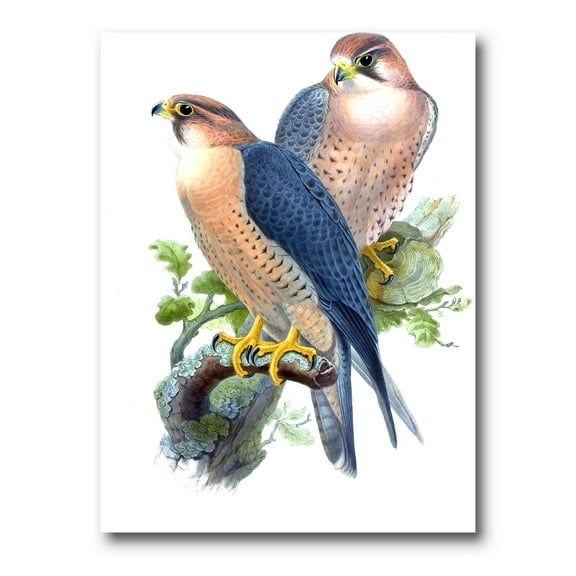Designart ' Ancient Birds II ' Traditional Canvas Wall Art Print