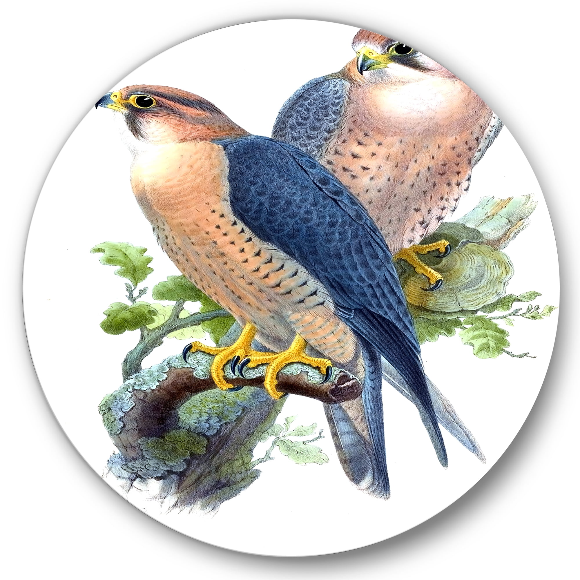 Designart 'Ancient Birds II' Traditional Circle Metal Wall Art 11x11 - Disc of 11