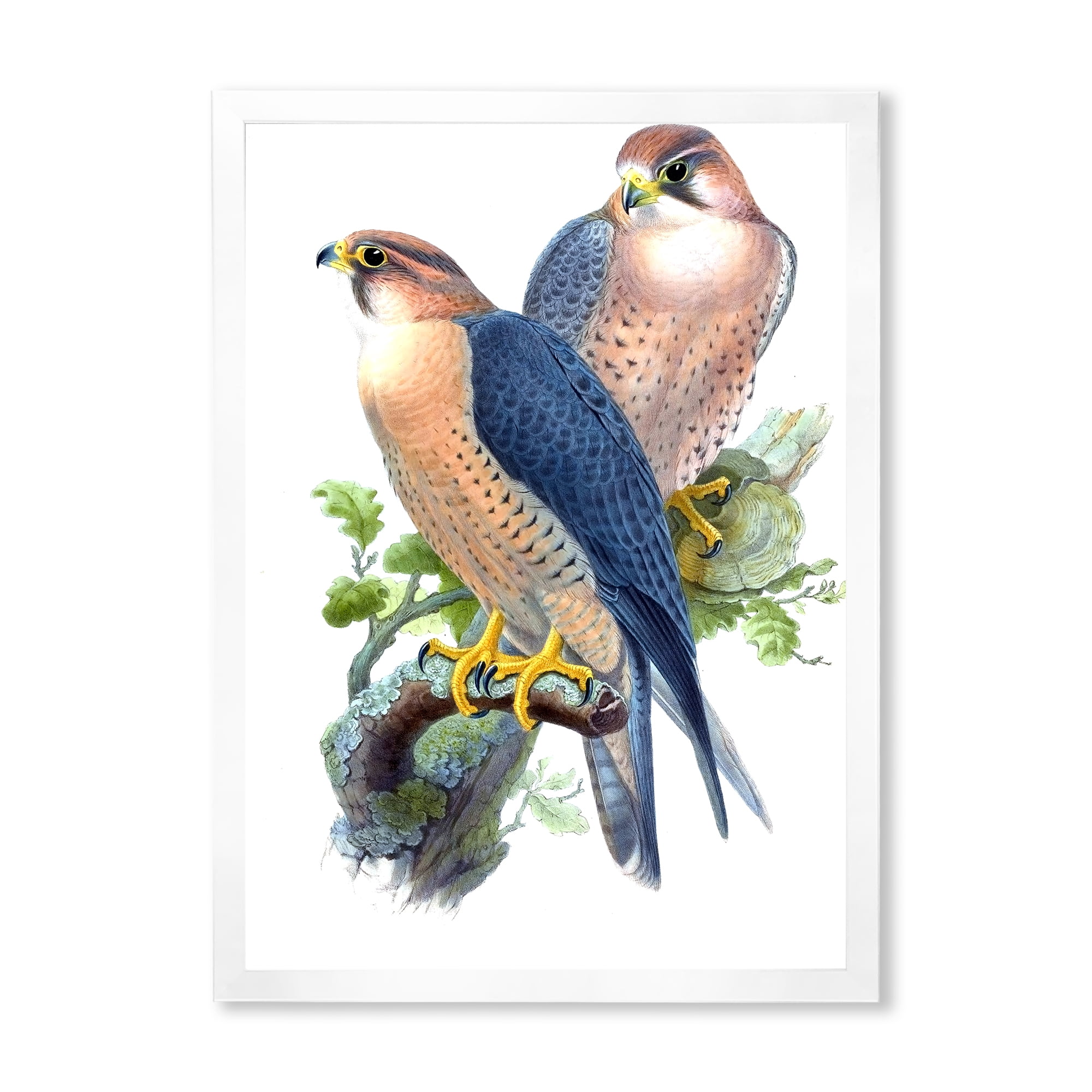 Designart 'Ancient Birds II' Traditional Framed Art Print