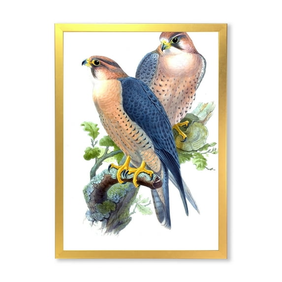 Designart 'Ancient Birds II' Traditional Framed Art Print