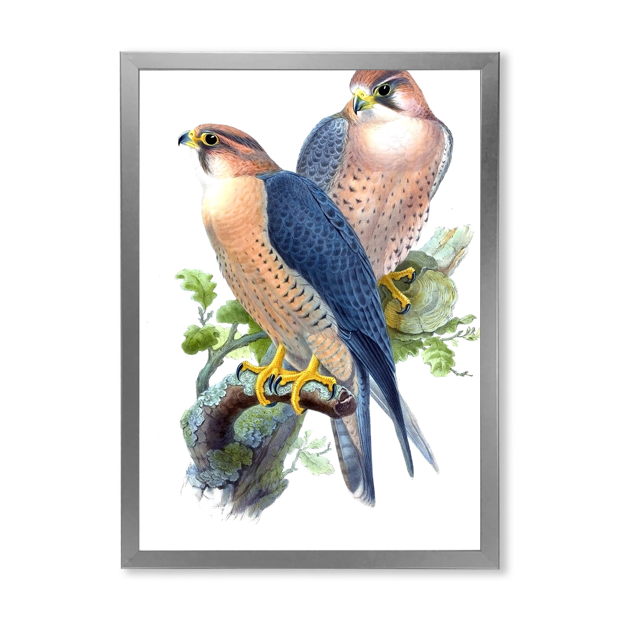 Designart 'Ancient Birds II' Traditional Framed Art Print