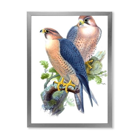Designart 'Ancient Birds II' Traditional Framed Art Print