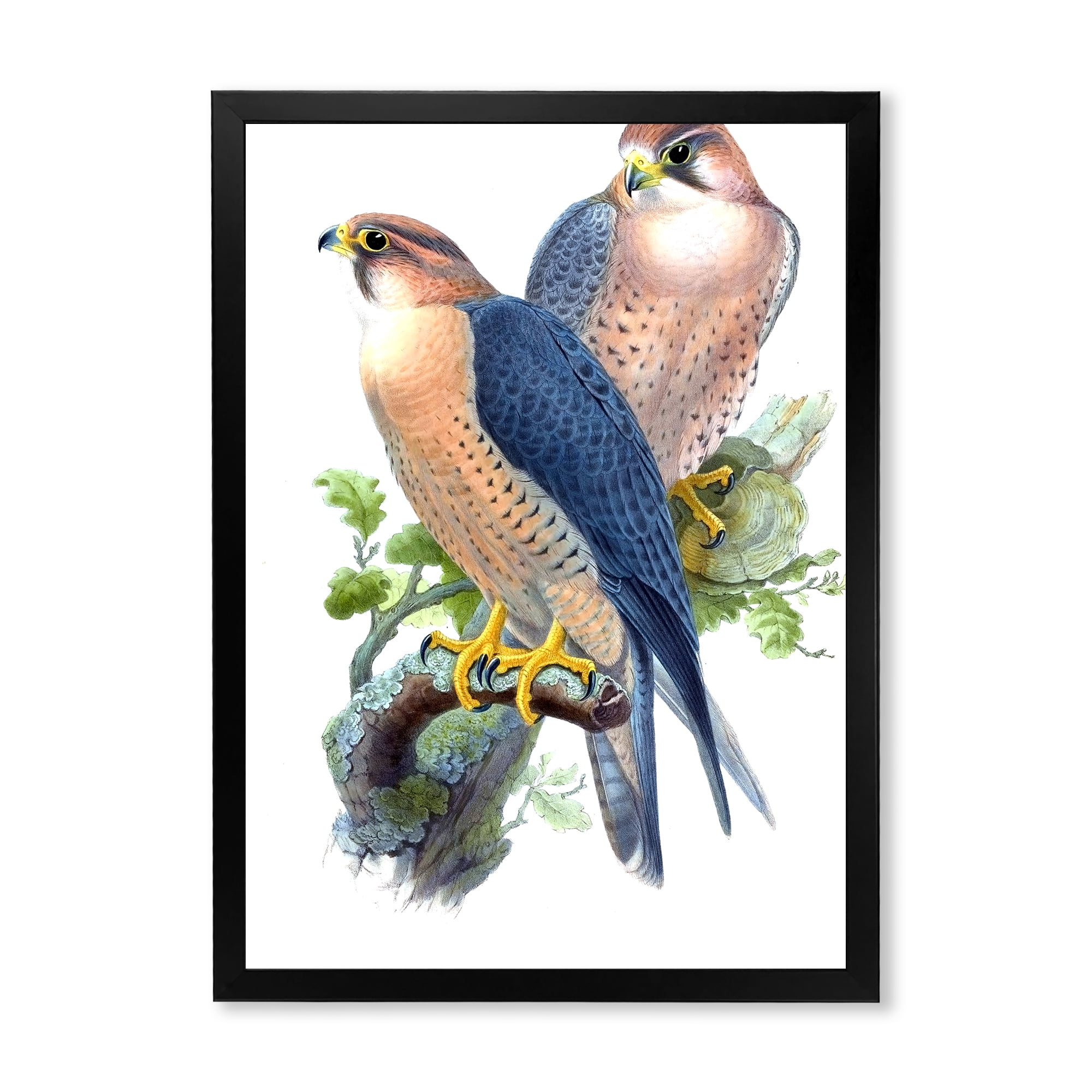Designart 'Ancient Birds II' Traditional Framed Art Print