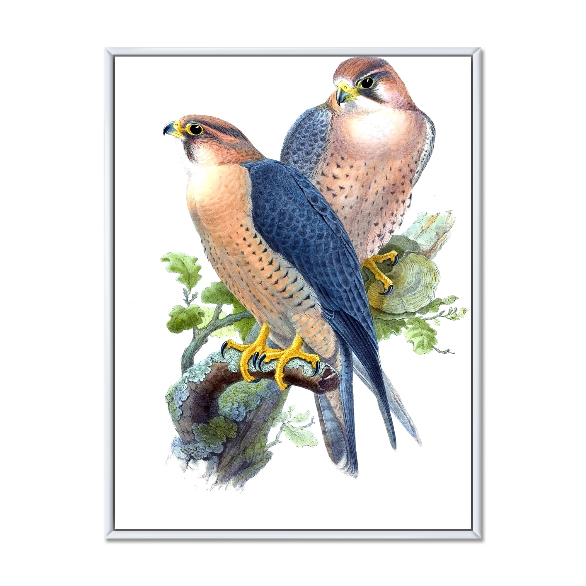 Designart 'Ancient Birds II' Traditional Framed Canvas Wall Art Print