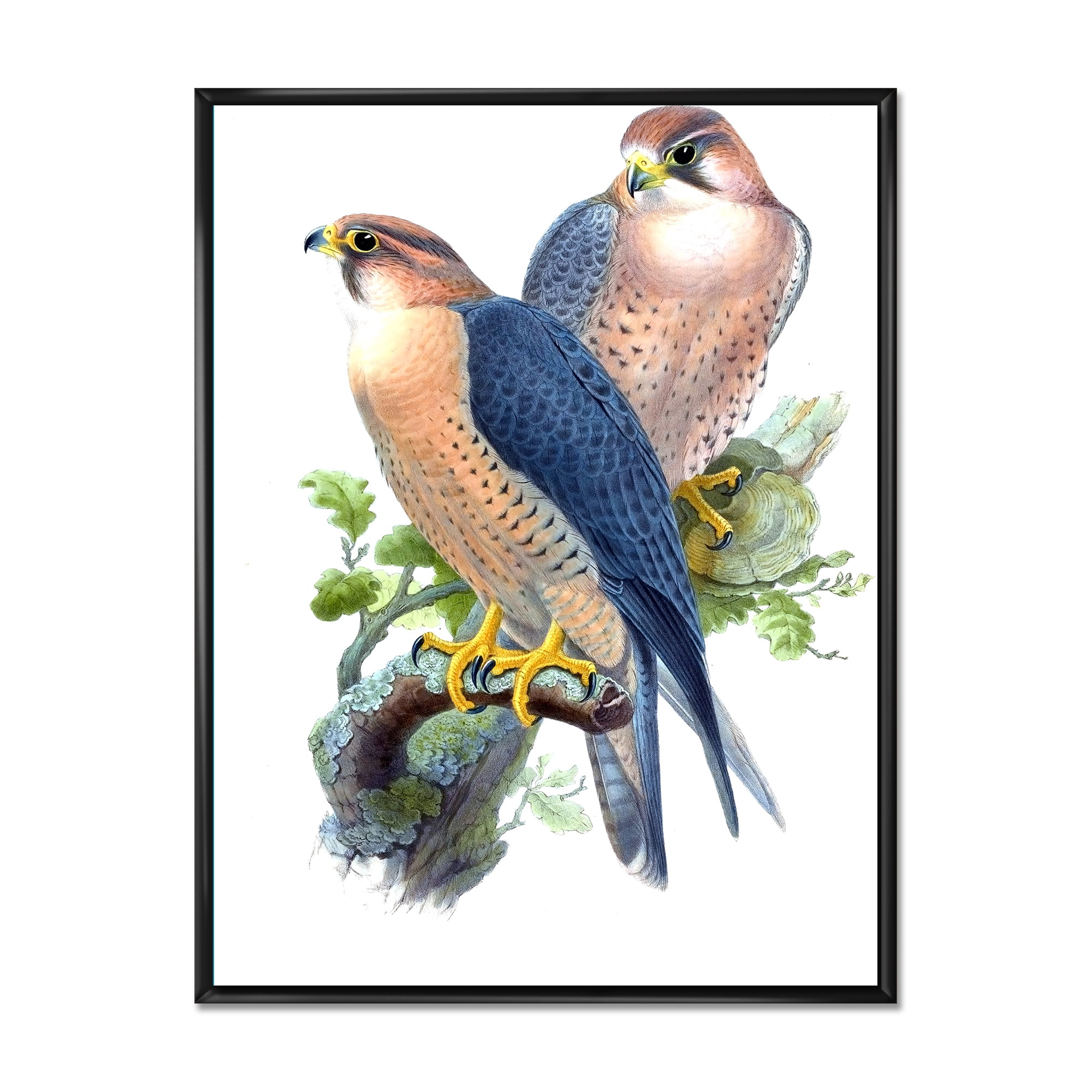 Designart 'Ancient Birds II' Traditional Framed Canvas Wall Art Print