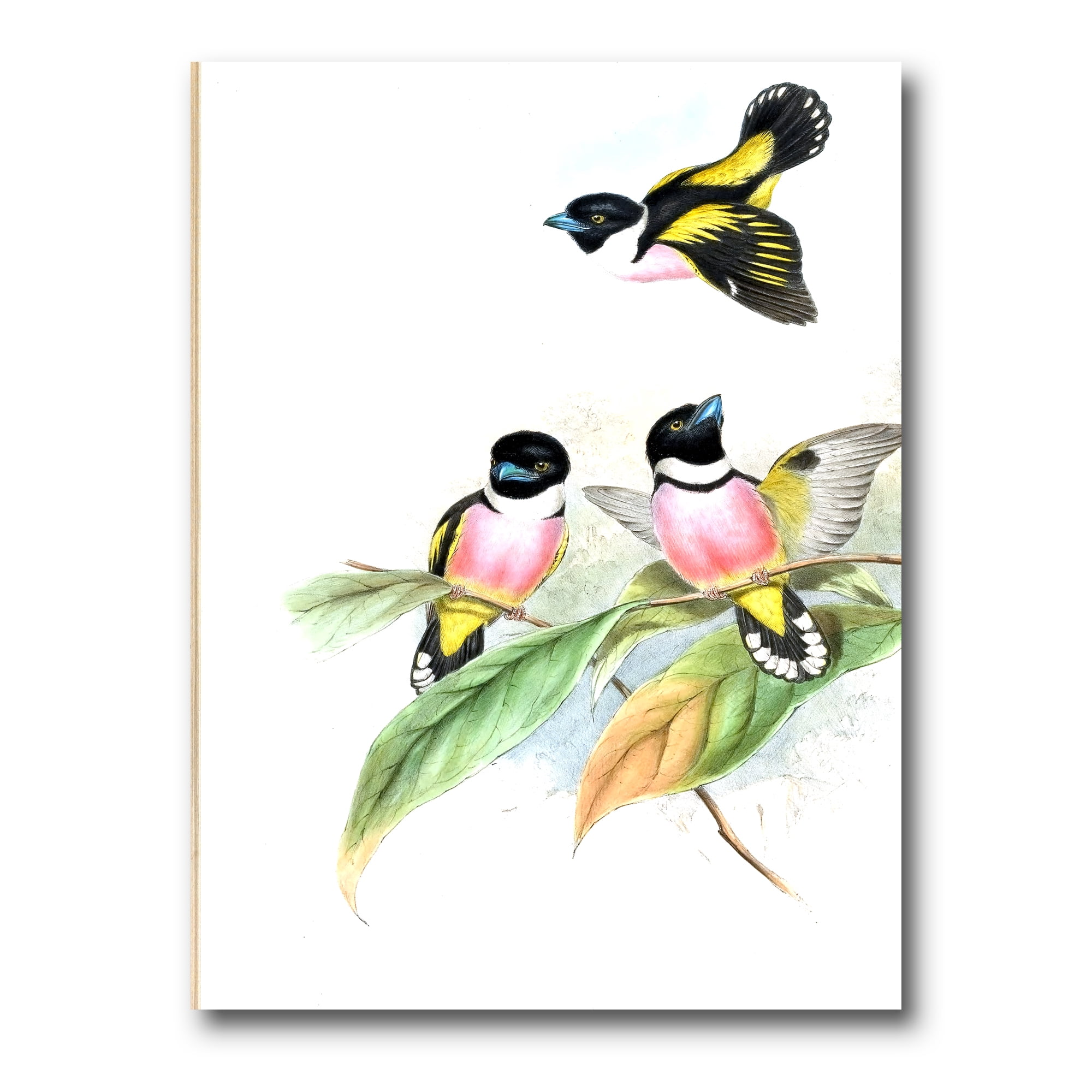 Designart ' Ancient Birds III ' Traditional Canvas Wall Art Print