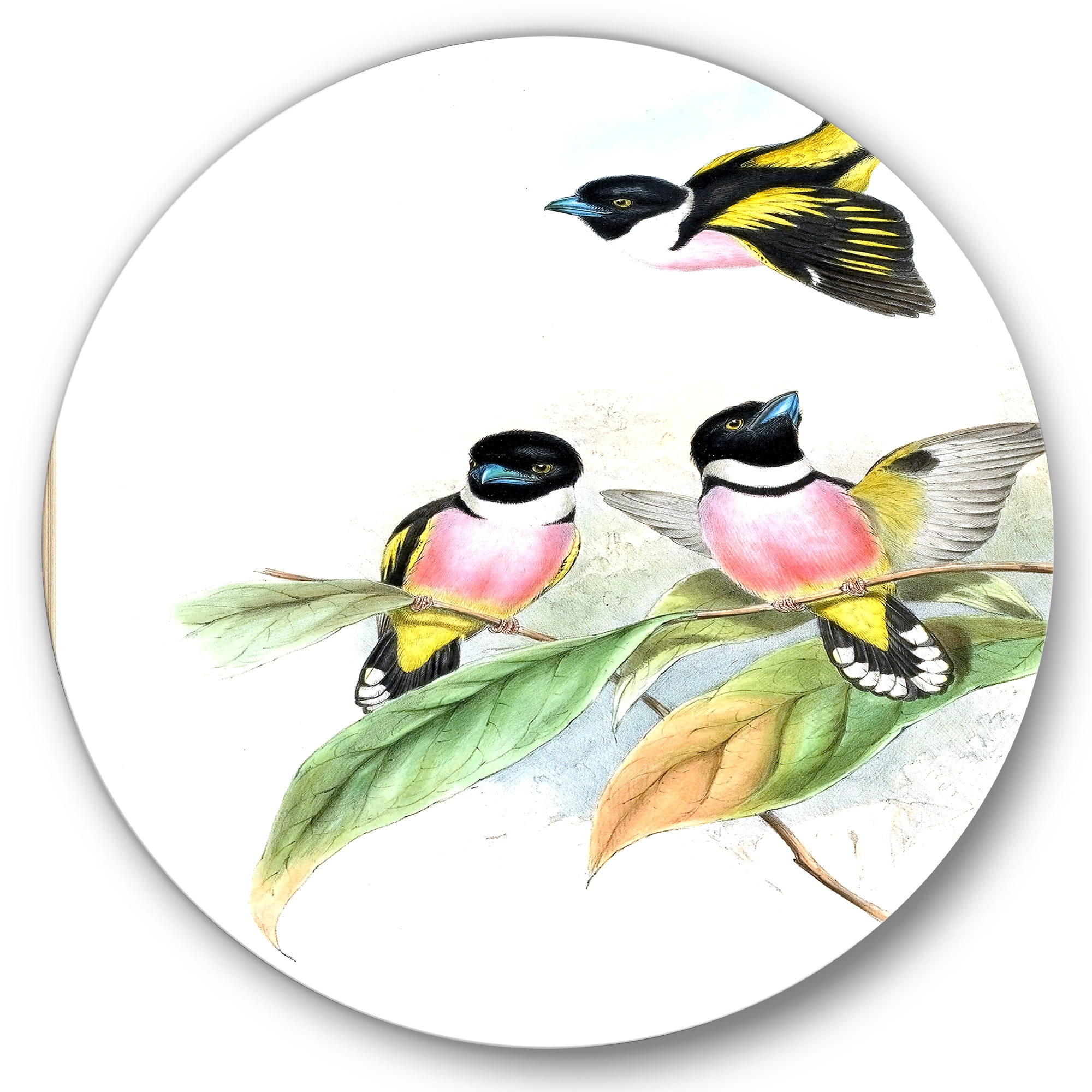Designart 'Ancient Birds III' Traditional Circle Metal Wall Art 29x29 - Disc of 29