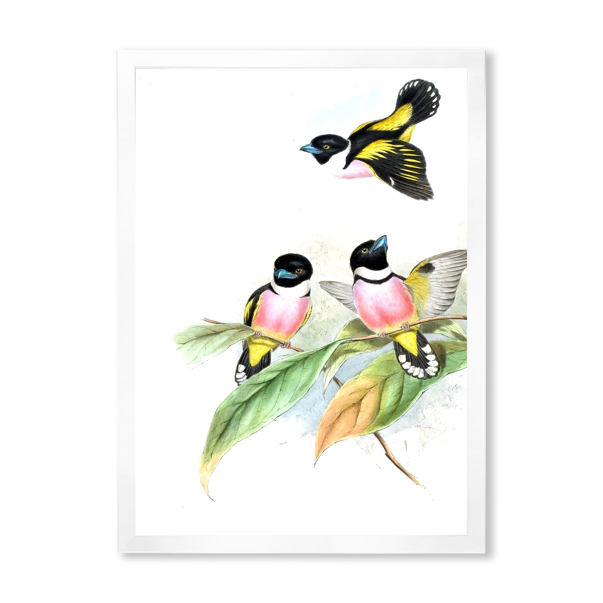 Designart 'Ancient Birds III' Traditional Framed Art Print