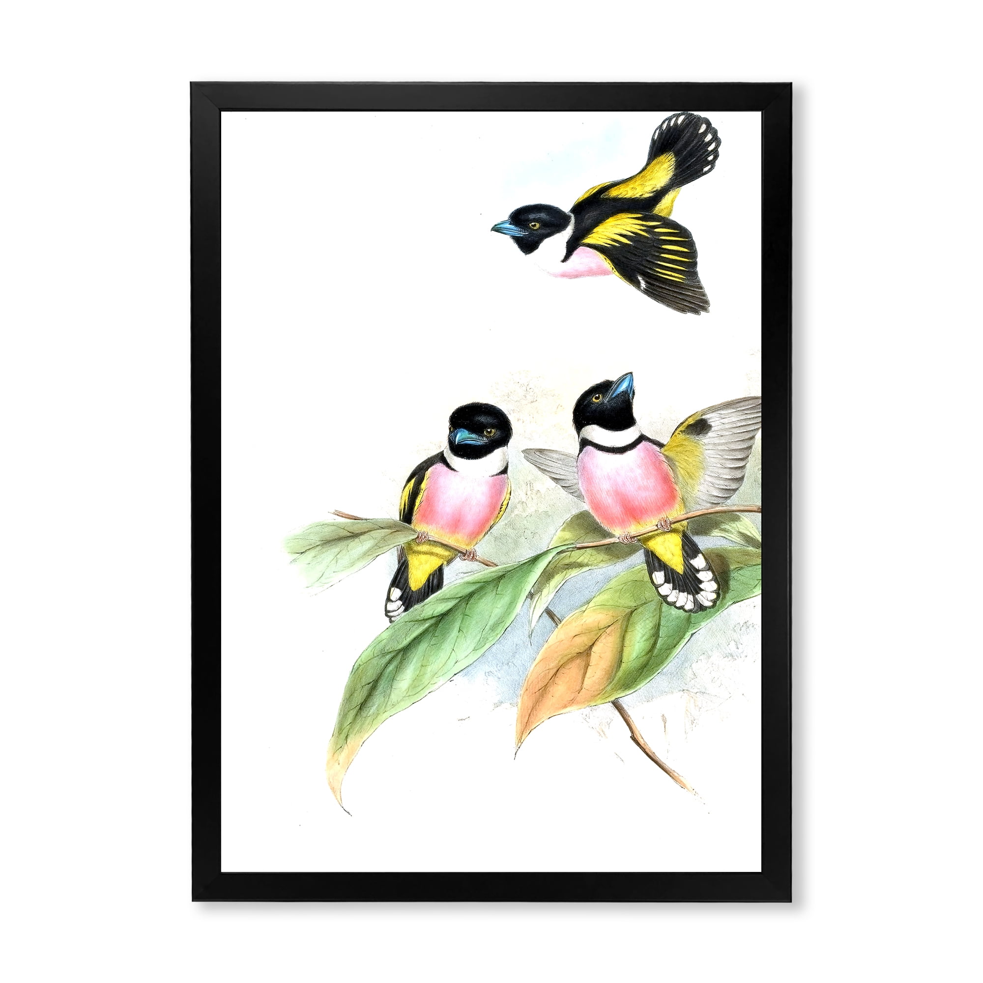 Designart 'Ancient Birds III' Traditional Framed Art Print