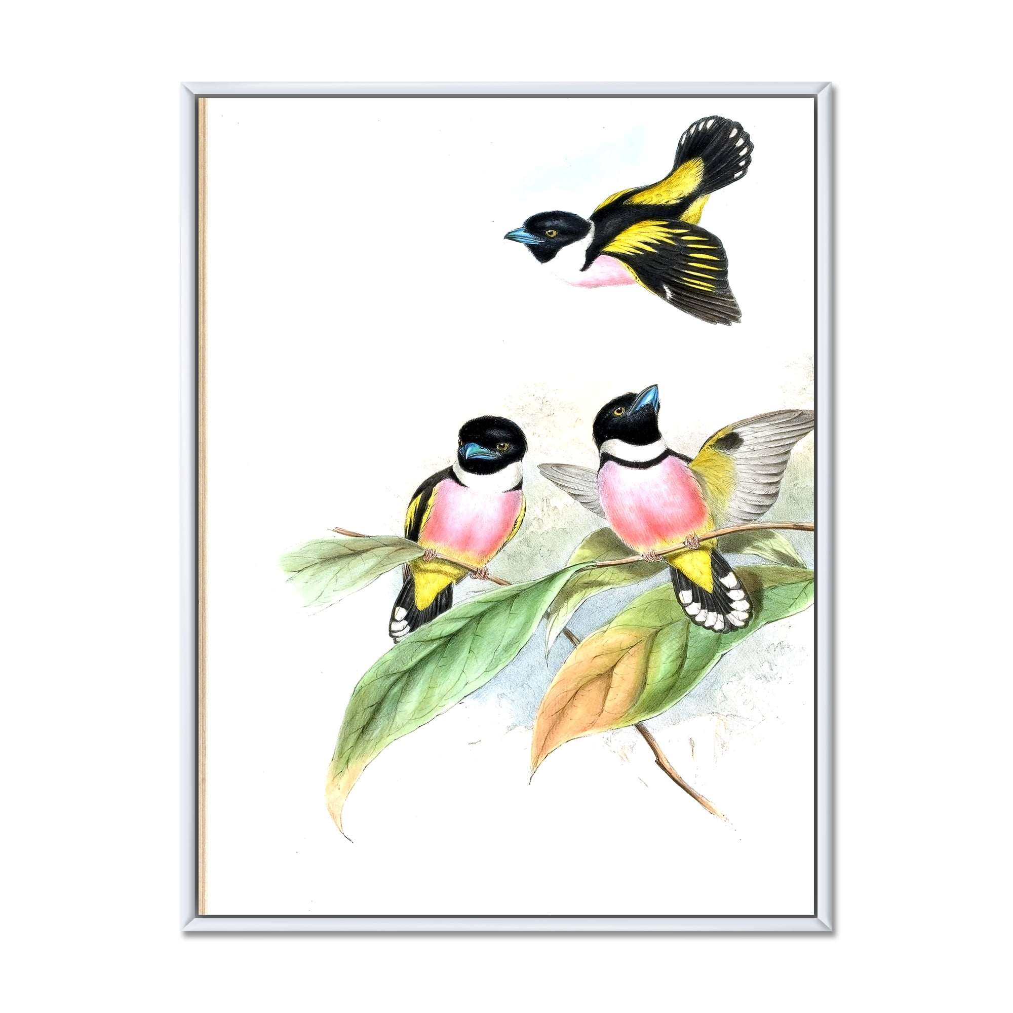 Designart 'Ancient Birds III' Traditional Framed Canvas Wall Art Print