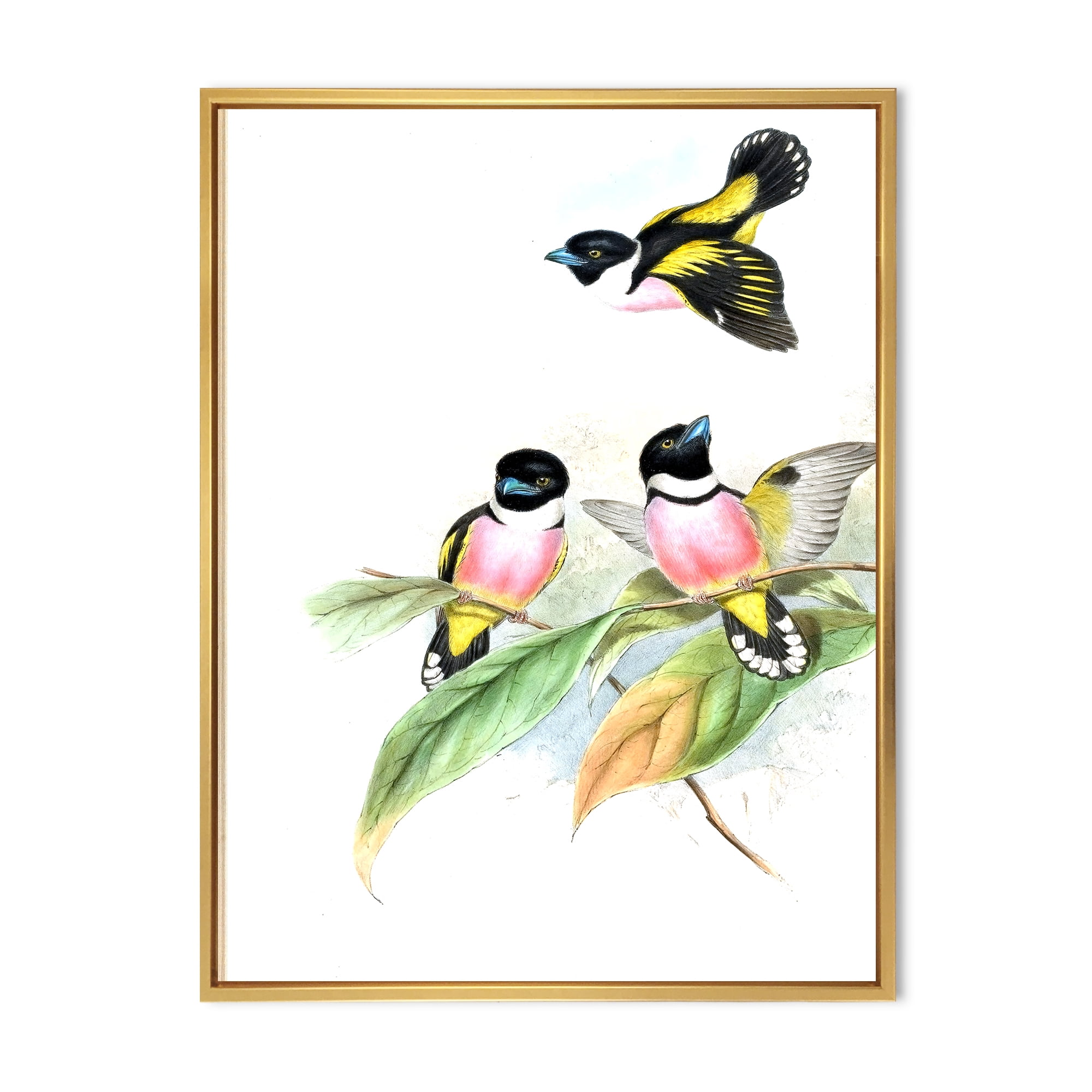 Designart 'Ancient Birds III' Traditional Framed Canvas Wall Art Print