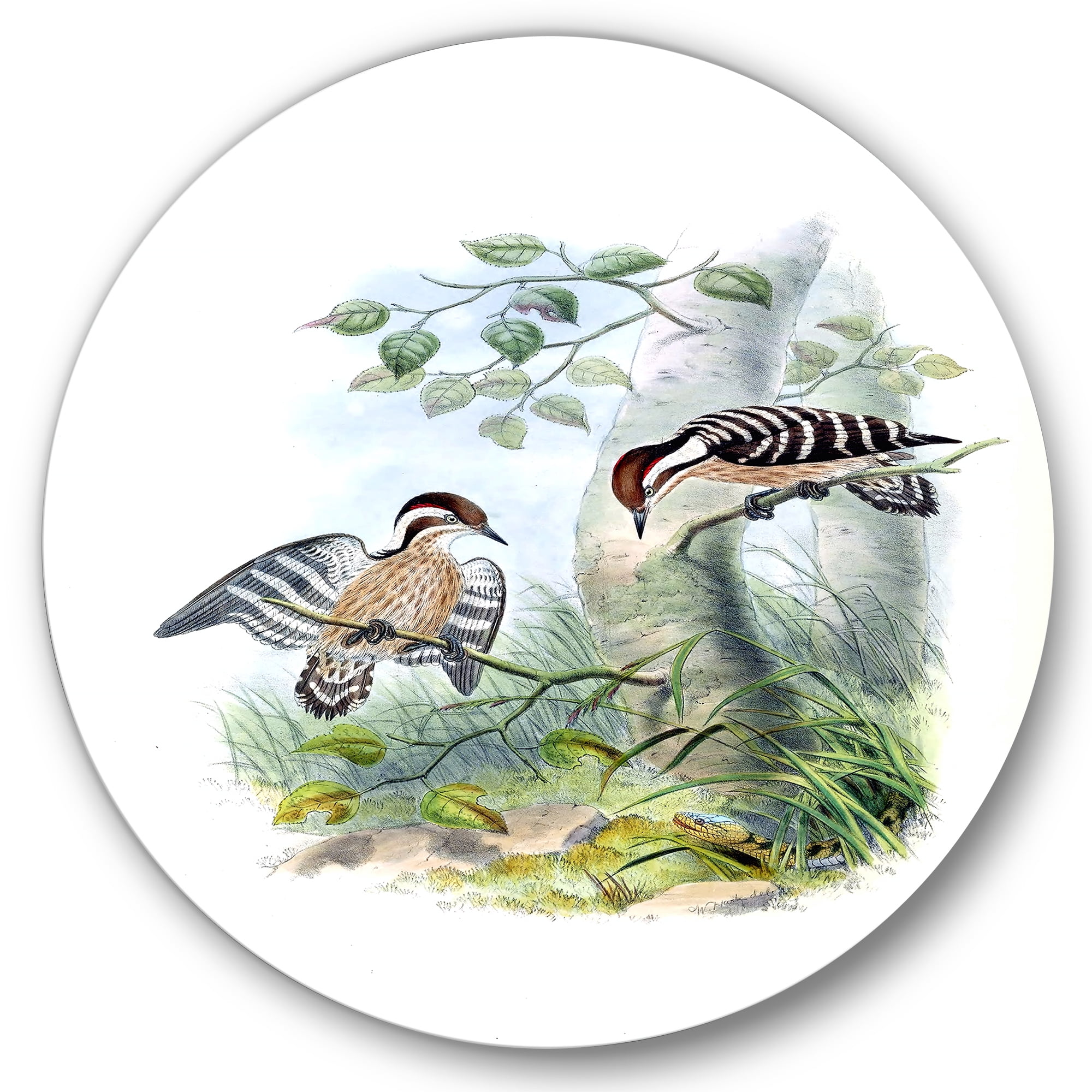 Designart 'Ancient Birds In The Wild I' Traditional Circle Metal Wall Art 36x36 - Disc of 36