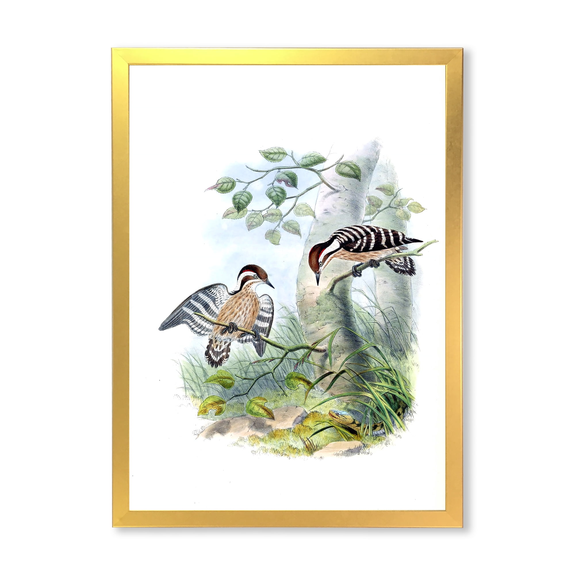 Designart 'Ancient Birds In The Wild I' Traditional Framed Art Print
