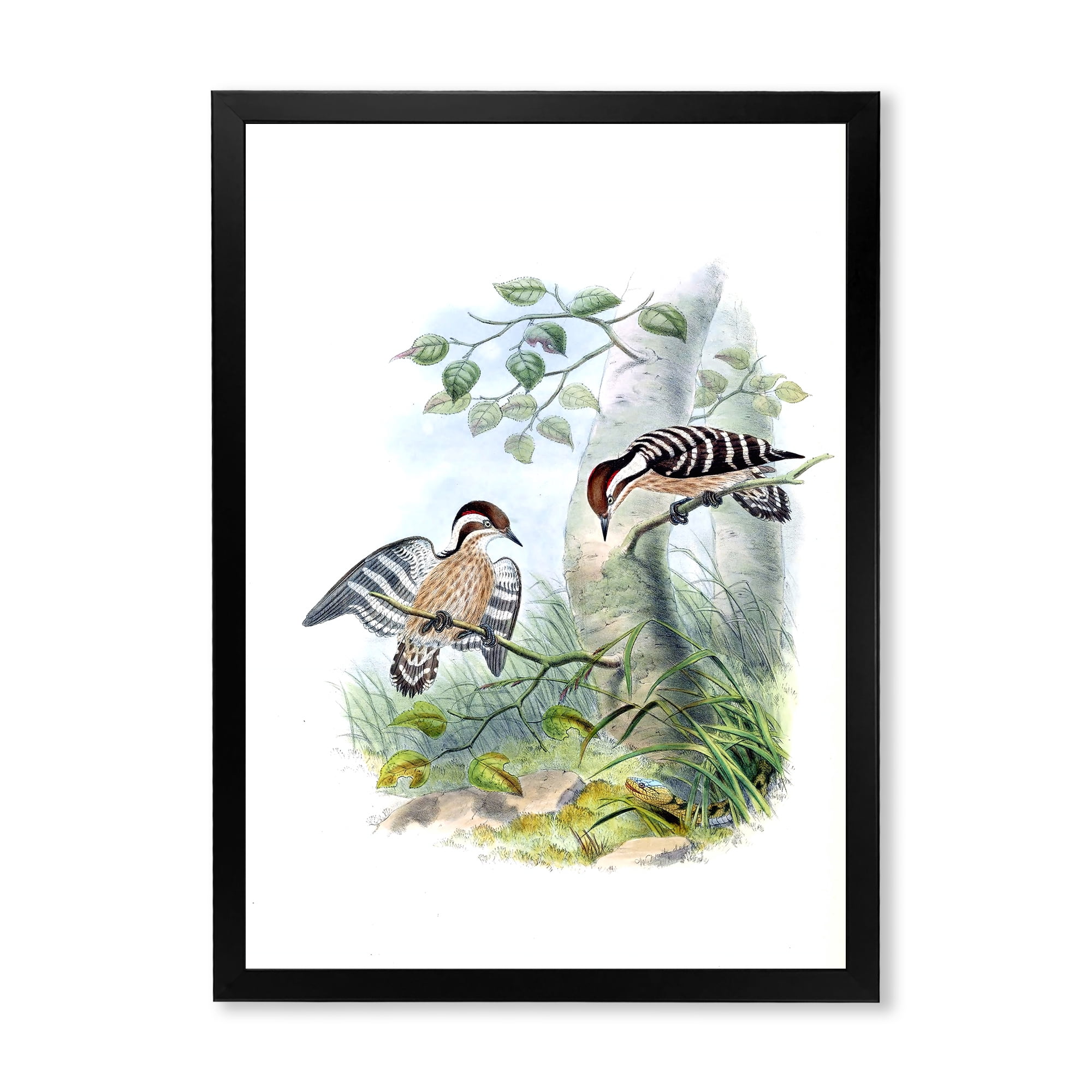 Designart 'Ancient Birds In The Wild I' Traditional Framed Art Print