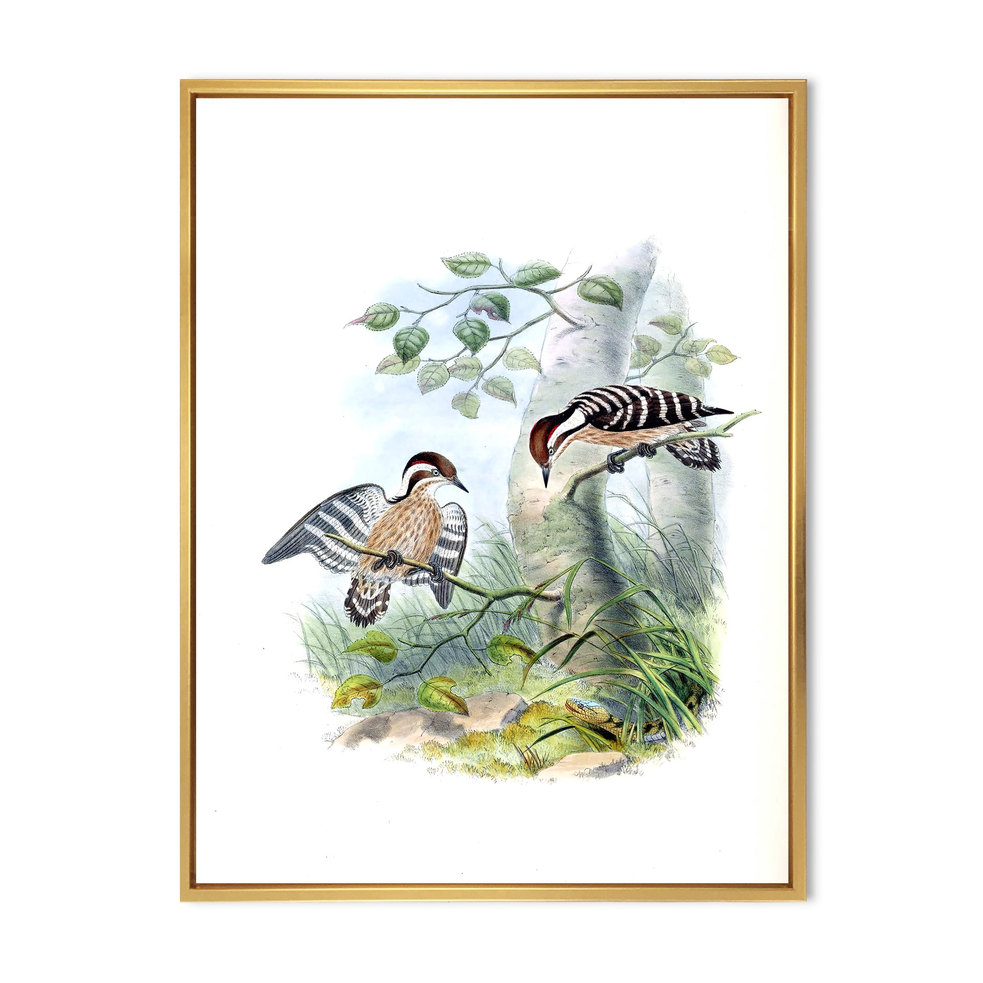 Designart 'Ancient Birds In The Wild I' Traditional Framed Canvas Wall Art Print