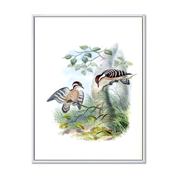 Designart 'Ancient Birds In The Wild I' Traditional Framed Canvas Wall Art Print