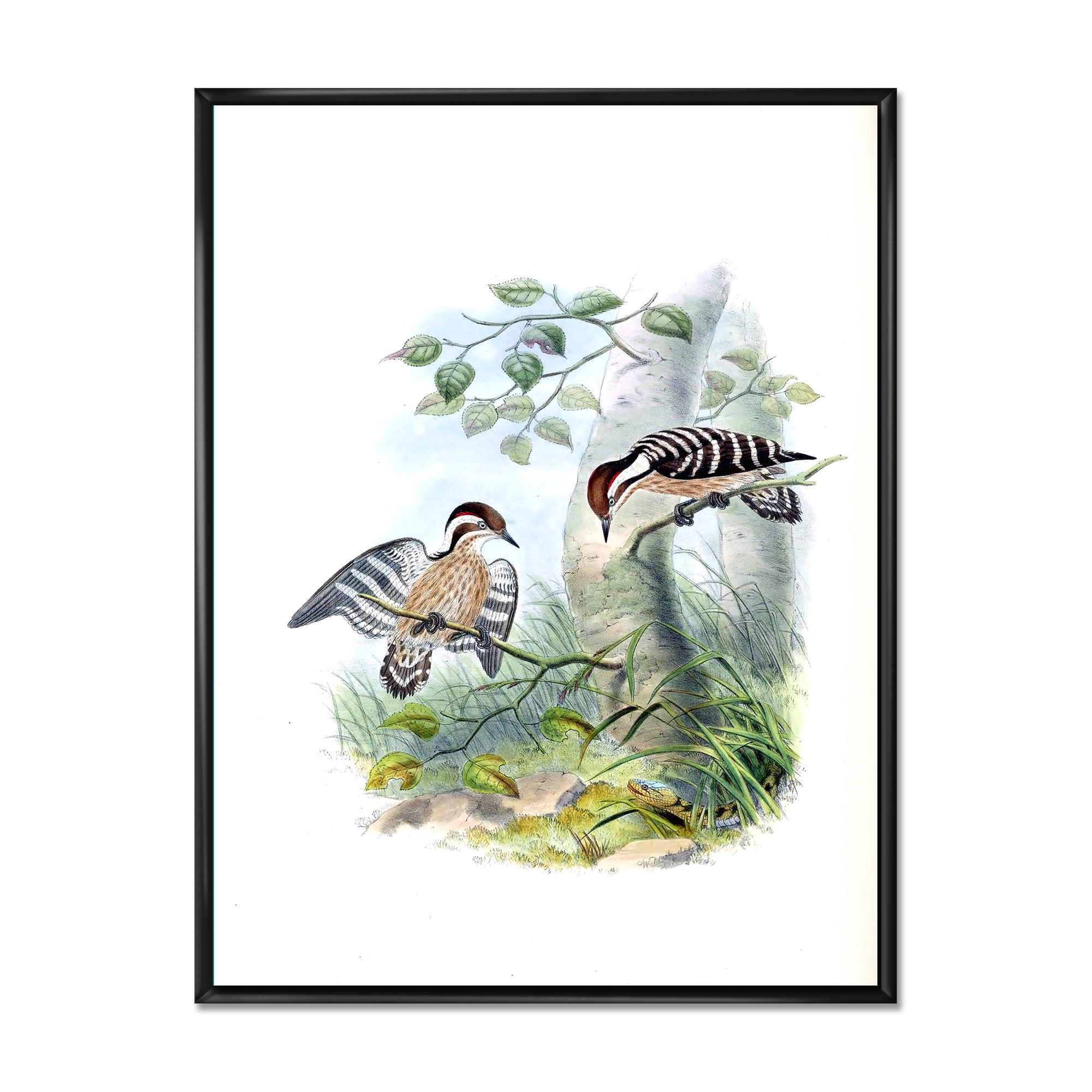Designart 'Ancient Birds In The Wild I' Traditional Framed Canvas Wall Art Print
