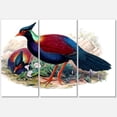 thumbnail image 1 of Designart ' Ancient Birds In The Wild II ' Traditional Canvas Wall Art Print, 1 of 3