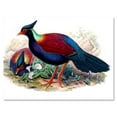 thumbnail image 1 of Designart ' Ancient Birds In The Wild II ' Traditional Canvas Wall Art Print, 1 of 4