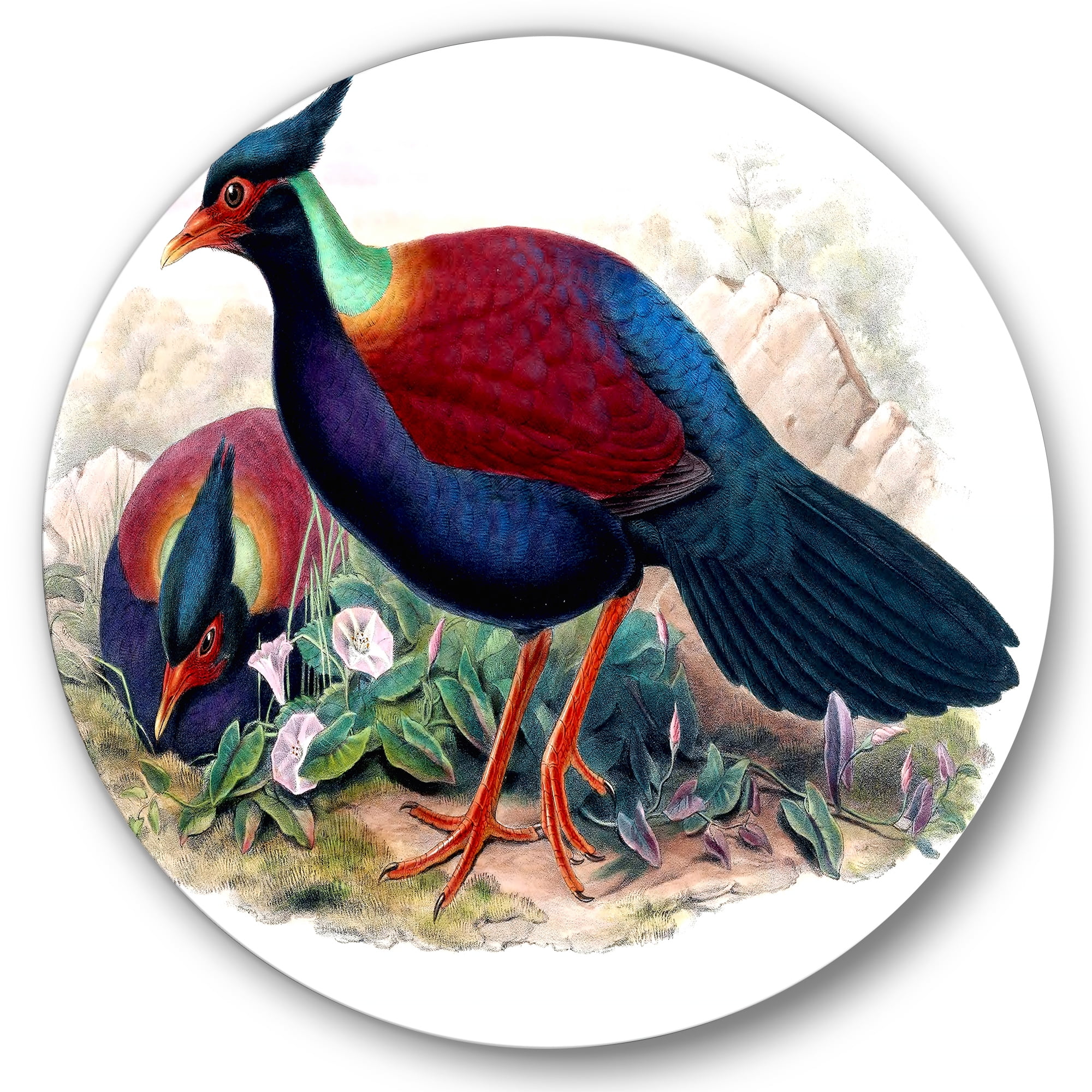 Designart 'Ancient Birds In The Wild II' Traditional Circle Metal Wall Art 29x29 - Disc of 29