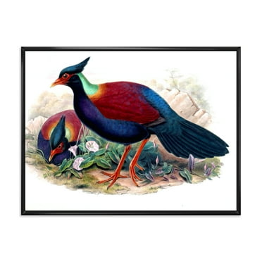 Designart 'Ancient Birds In The Wild II' Traditional Framed Canvas Wall Art Print