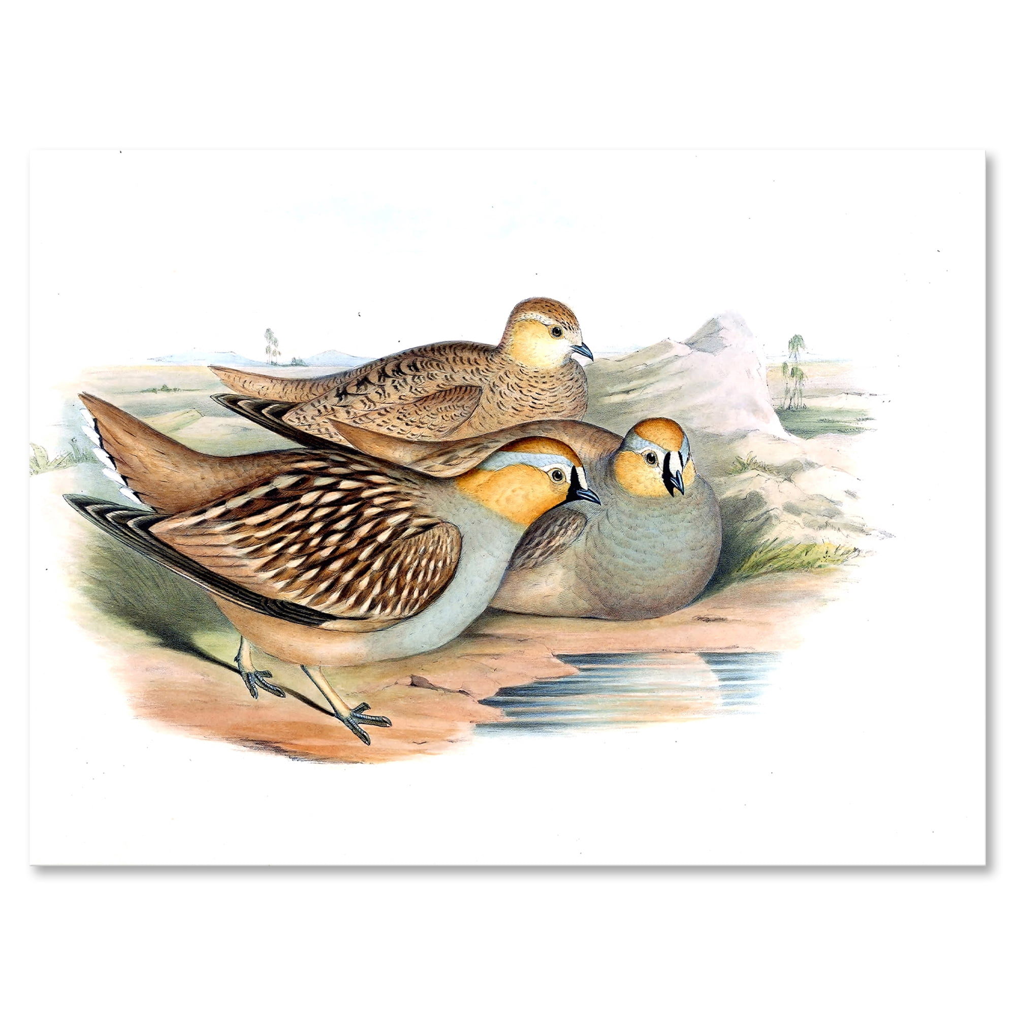 Designart ' Ancient Birds In The Wild III ' Traditional Canvas Wall Art Print