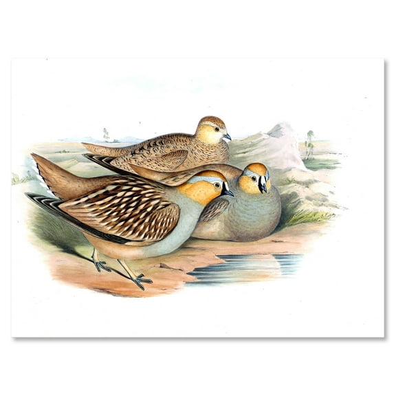 Designart ' Ancient Birds In The Wild III ' Traditional Canvas Wall Art Print