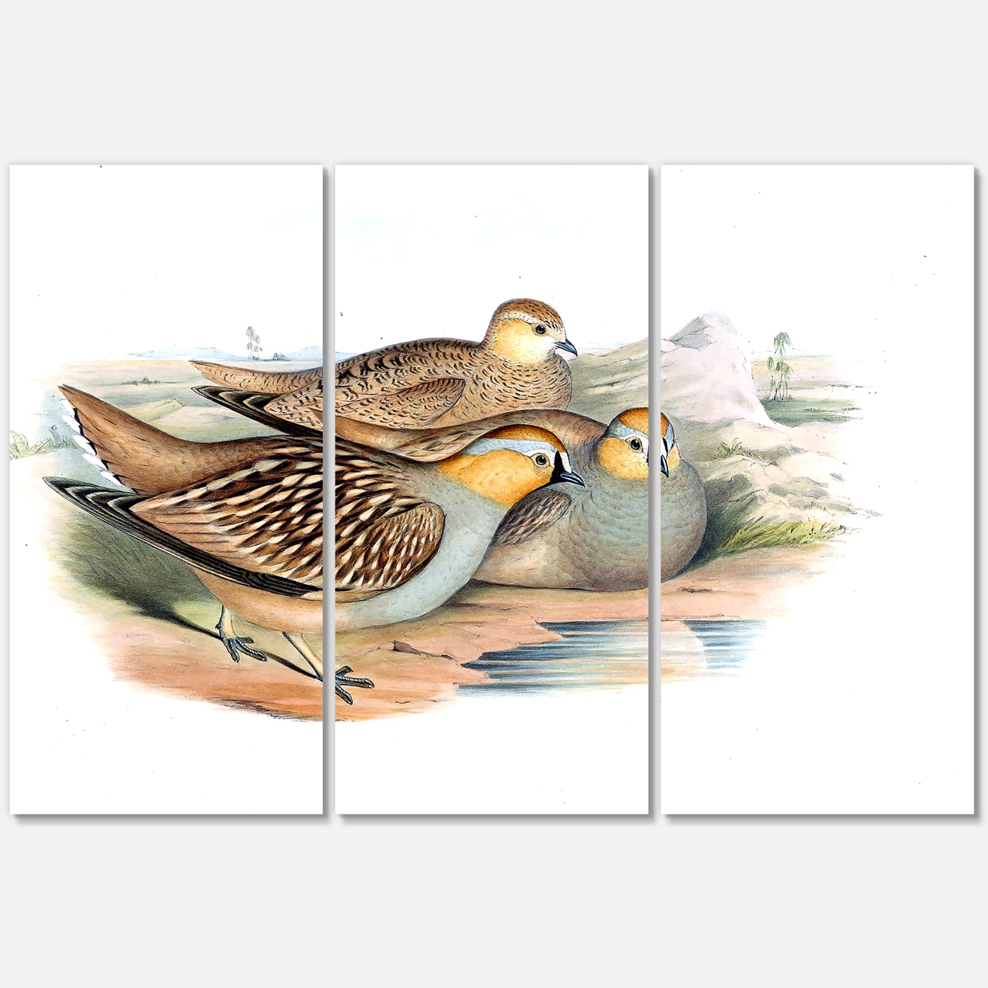 Designart ' Ancient Birds In The Wild III ' Traditional Canvas Wall Art Print