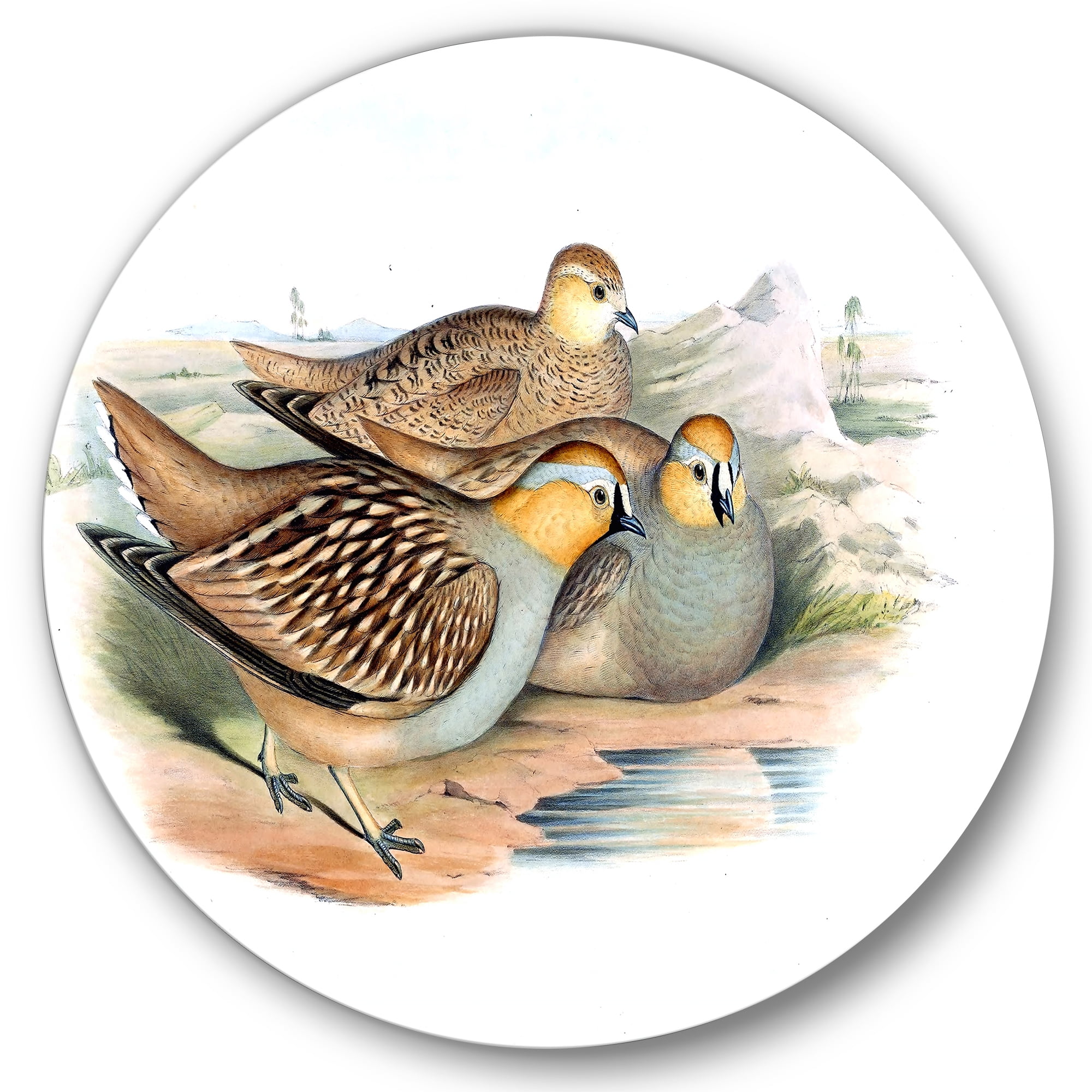 Designart 'Ancient Birds In The Wild III' Traditional Circle Metal Wall Art 36x36 - Disc of 36