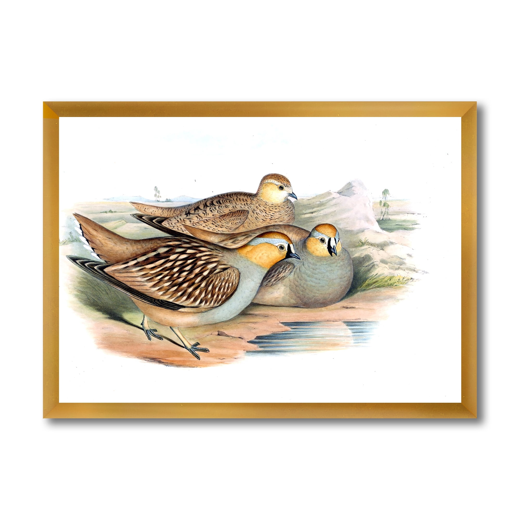 Designart 'Ancient Birds In The Wild III' Traditional Framed Art Print
