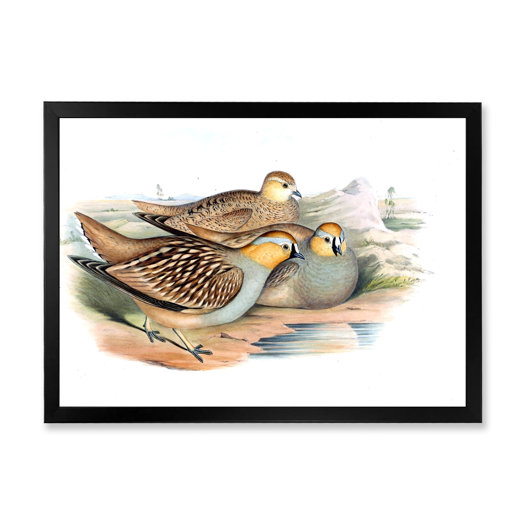 Designart 'Ancient Birds In The Wild III' Traditional Framed Art Print