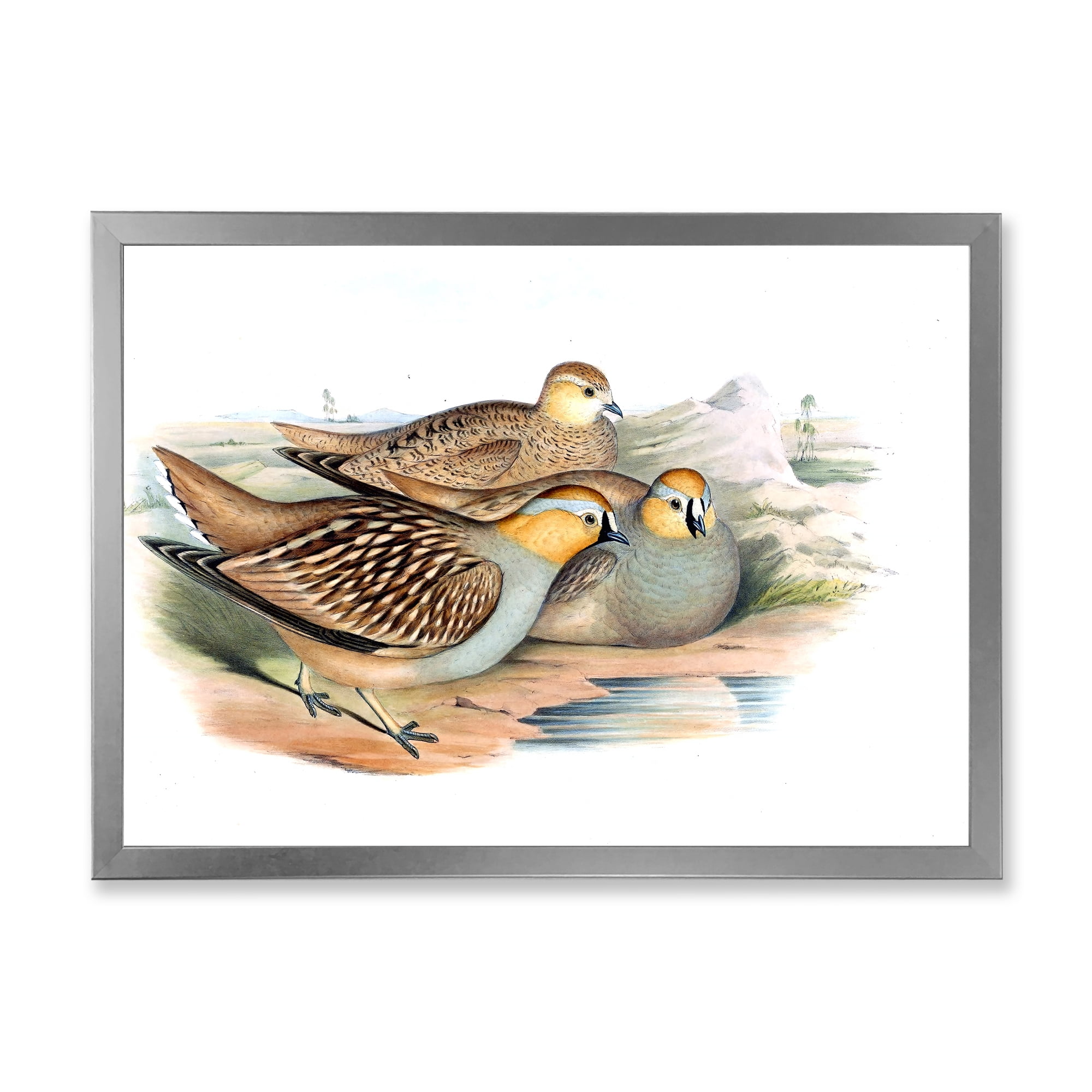 Designart 'Ancient Birds In The Wild III' Traditional Framed Art Print