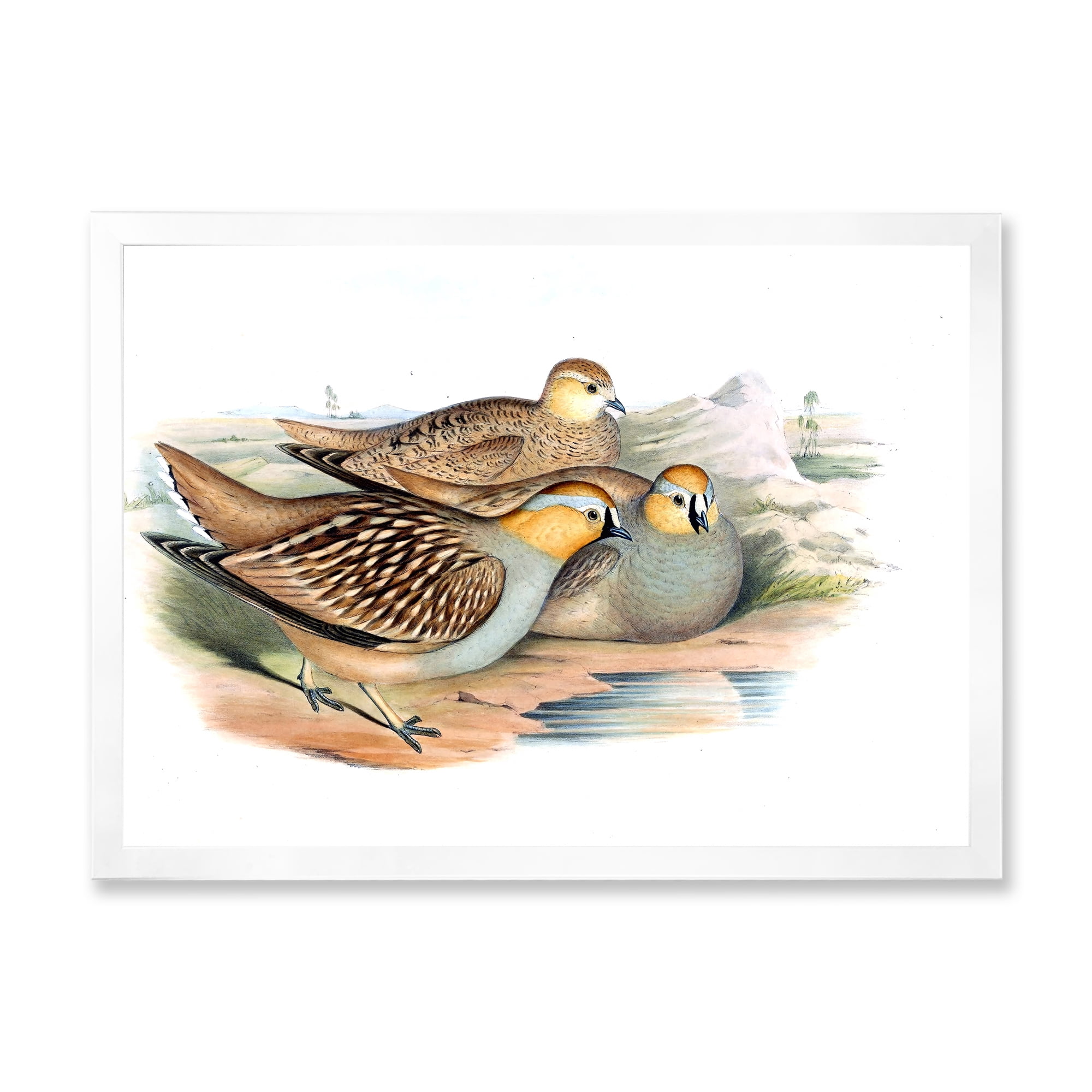 Designart 'Ancient Birds In The Wild III' Traditional Framed Art Print
