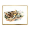thumbnail image 1 of Designart 'Ancient Birds In The Wild III' Traditional Framed Canvas Wall Art Print, 1 of 5