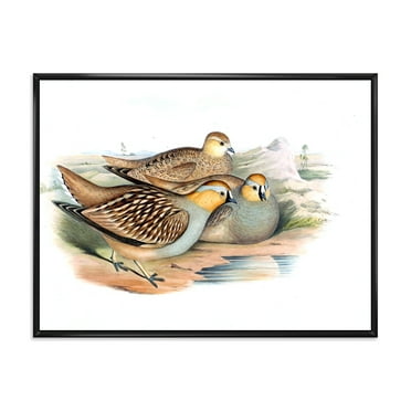 Designart 'Ancient Birds In The Wild III' Traditional Framed Canvas Wall Art Print