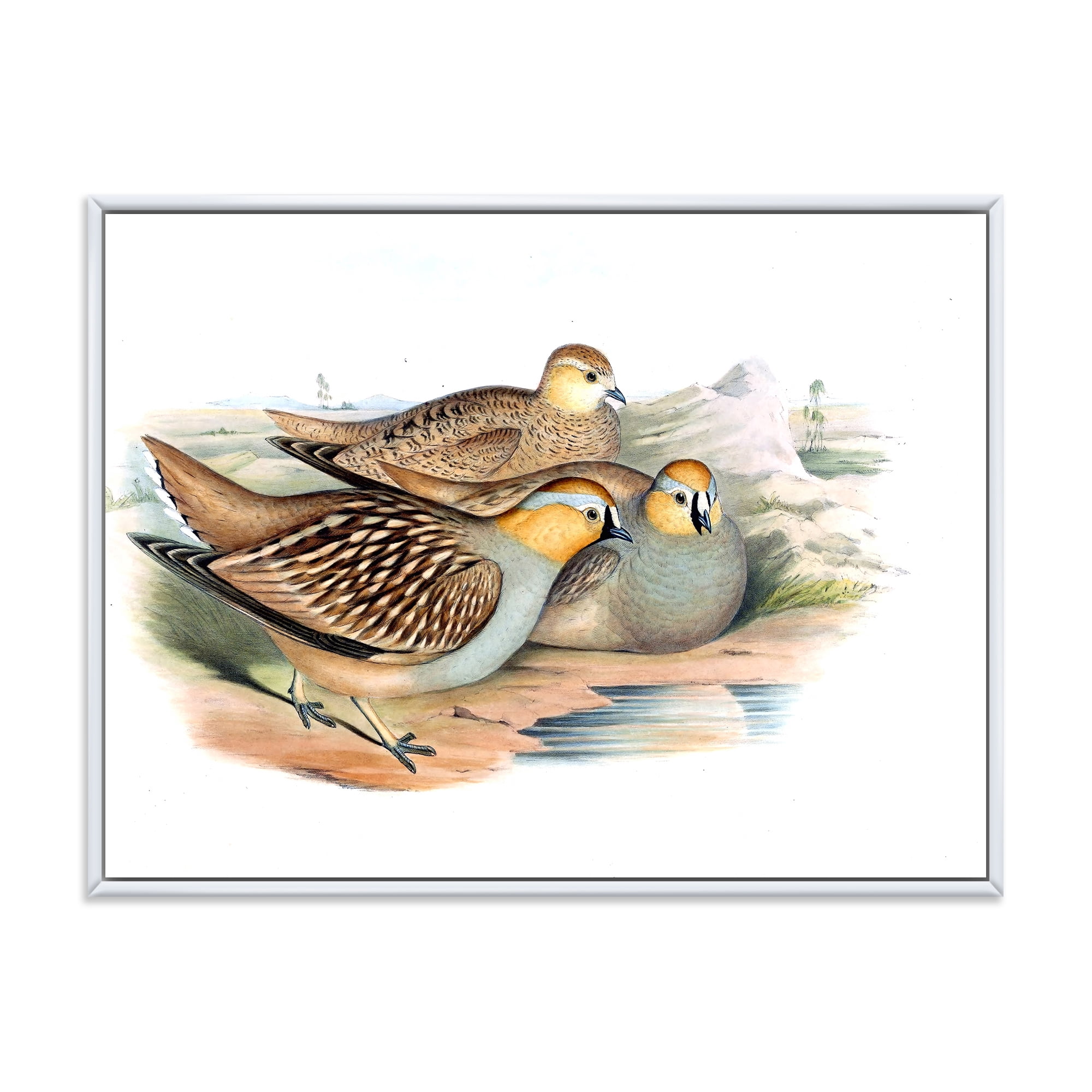 Designart 'Ancient Birds In The Wild III' Traditional Framed Canvas Wall Art Print