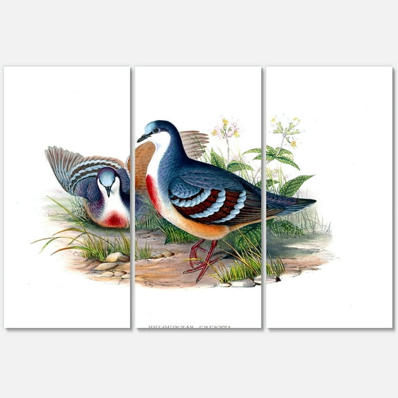 Designart ' Ancient Birds In The Wild IV ' Traditional Canvas Wall Art Print