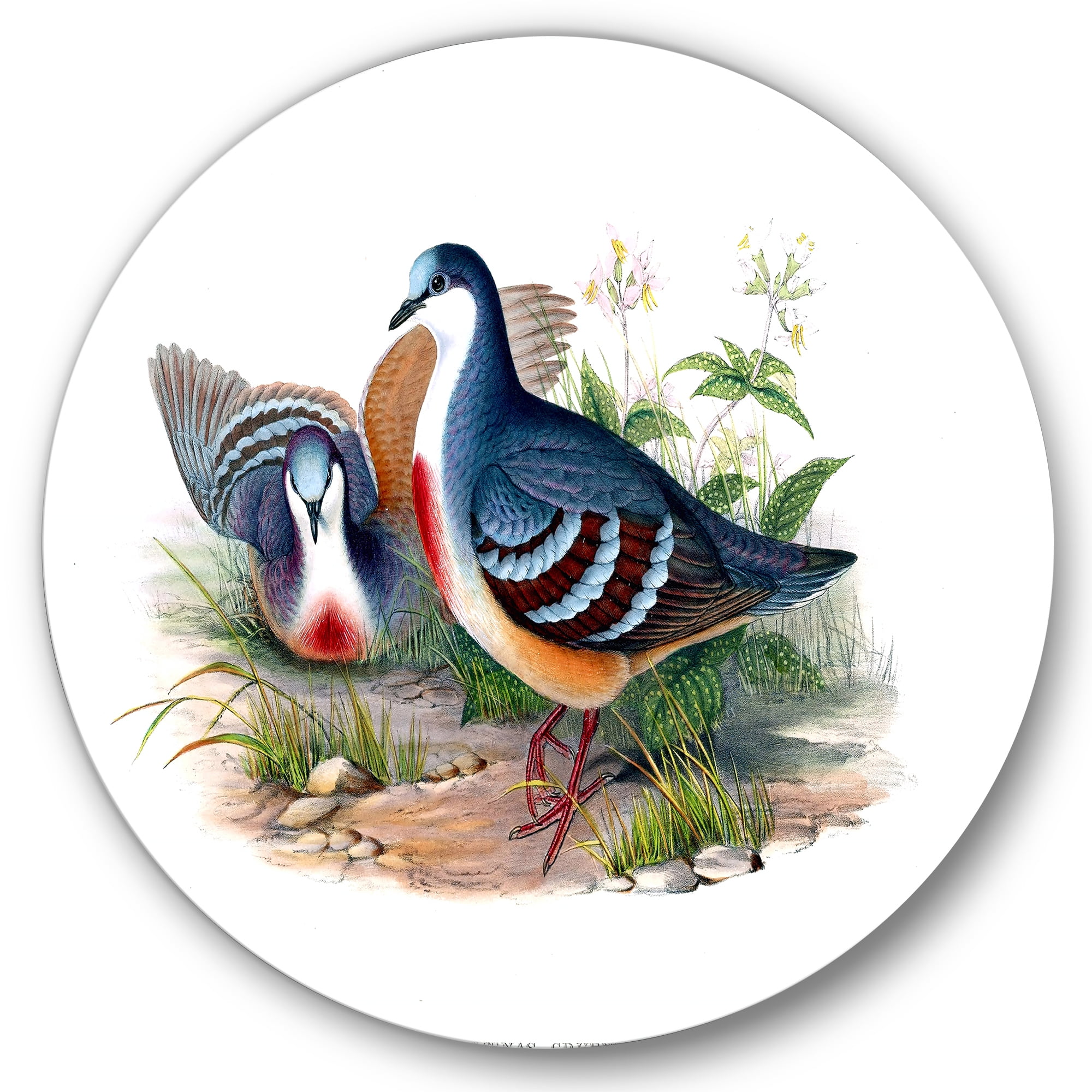 Designart 'Ancient Birds In The Wild IV' Traditional Circle Metal Wall Art 36x36 - Disc of 36
