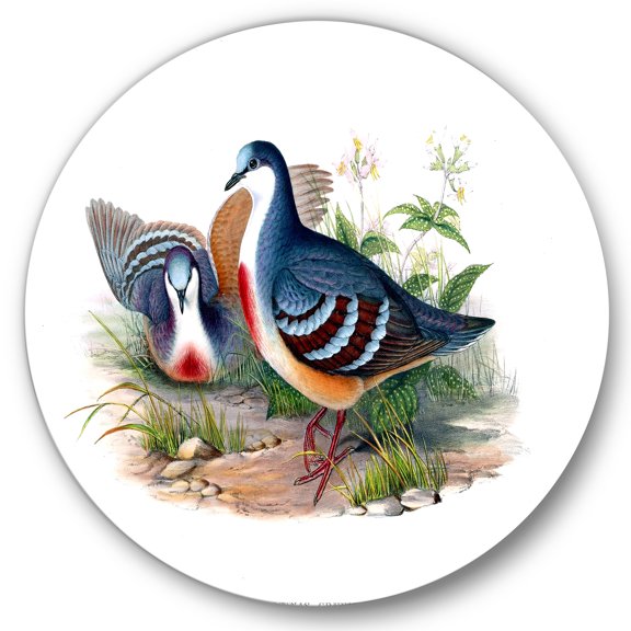 Designart 'Ancient Birds In The Wild IV' Traditional Circle Metal Wall Art 36x36 - Disc of 36