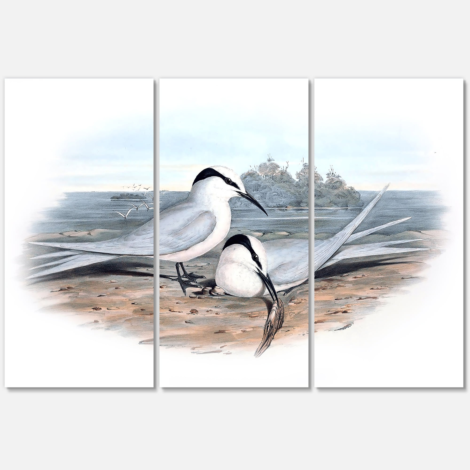 Designart ' Ancient Birds In The Wild IX ' Traditional Canvas Wall Art Print
