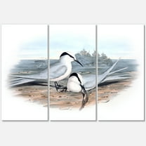 Designart ' Ancient Birds In The Wild IX ' Traditional Canvas Wall Art Print