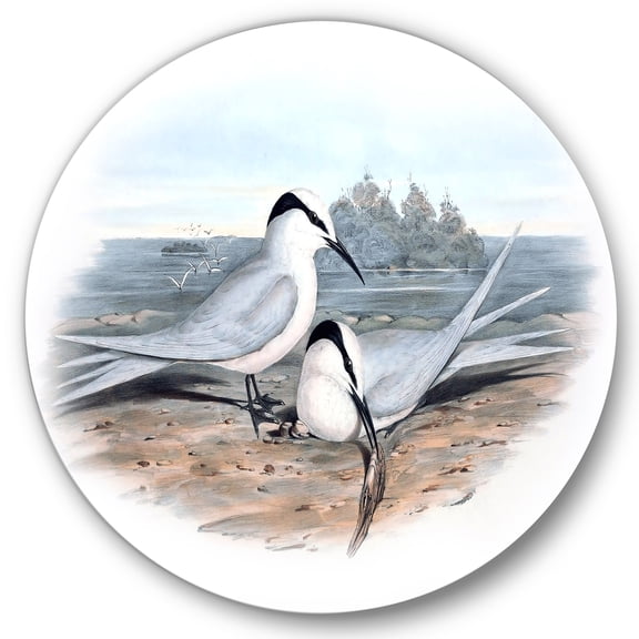 Designart 'Ancient Birds In The Wild IX' Traditional Circle Metal Wall Art 36x36 - Disc of 36