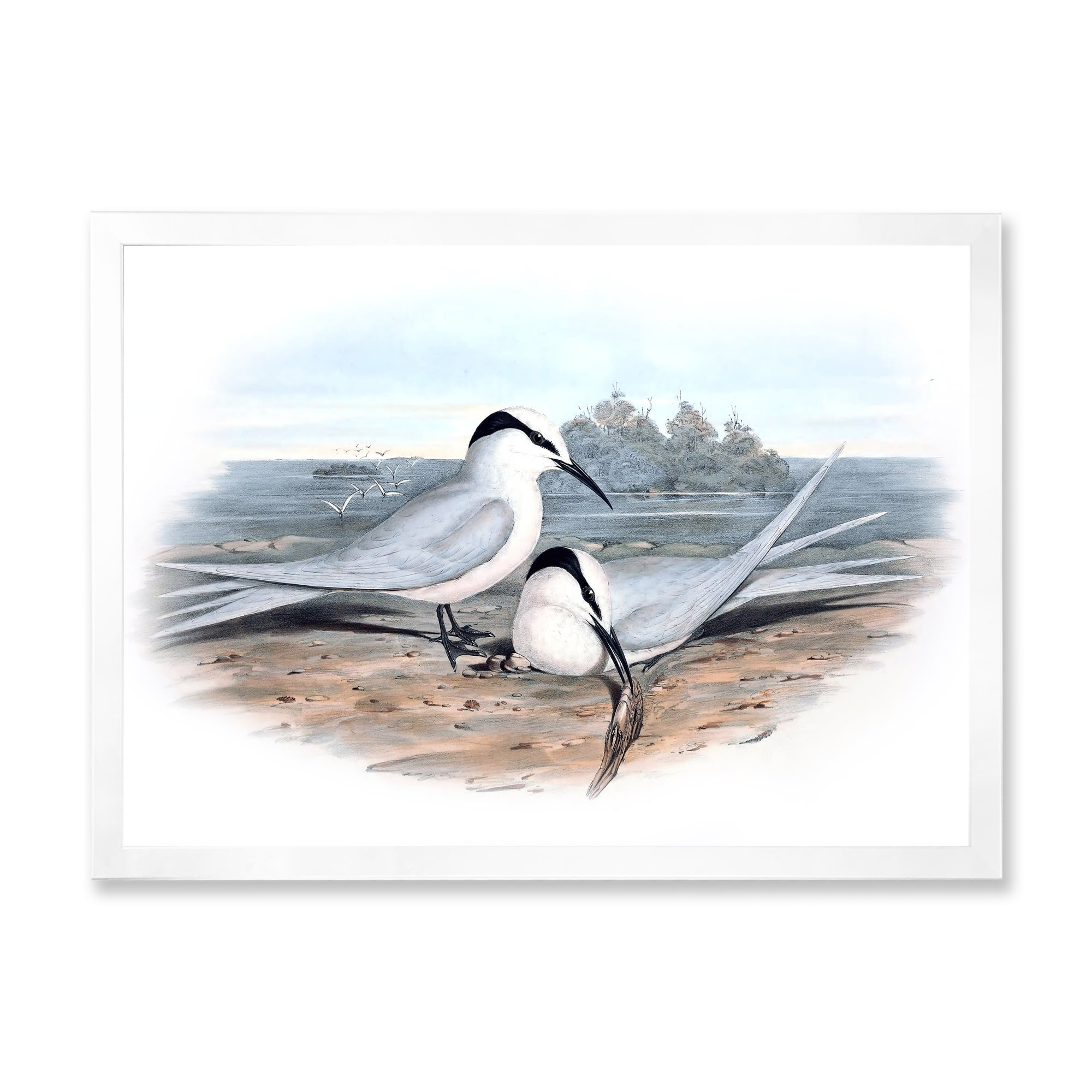 Designart 'Ancient Birds In The Wild IX' Traditional Framed Art Print