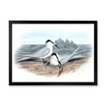 thumbnail image 1 of Designart 'Ancient Birds In The Wild IX' Traditional Framed Art Print, 1 of 4
