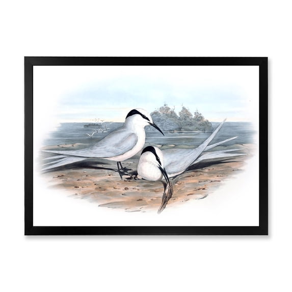 Designart 'Ancient Birds In The Wild IX' Traditional Framed Art Print