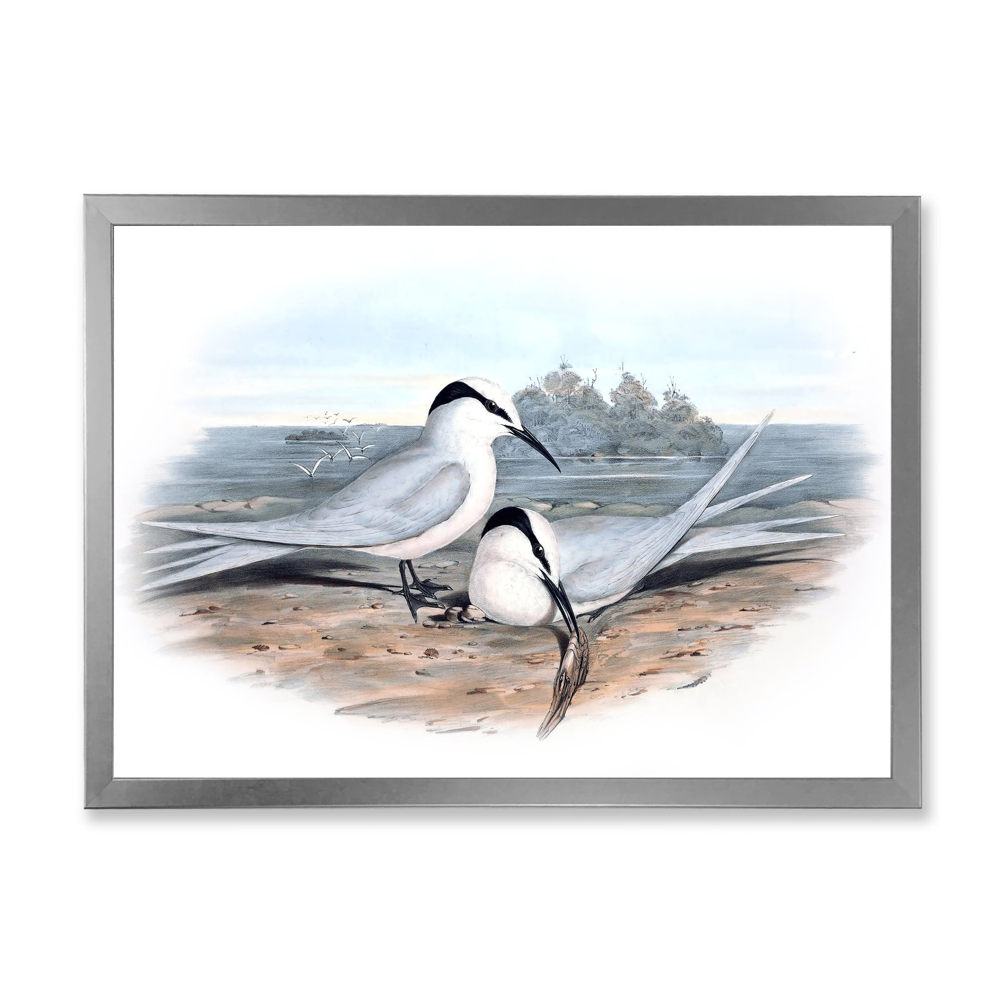 Designart 'Ancient Birds In The Wild IX' Traditional Framed Art Print